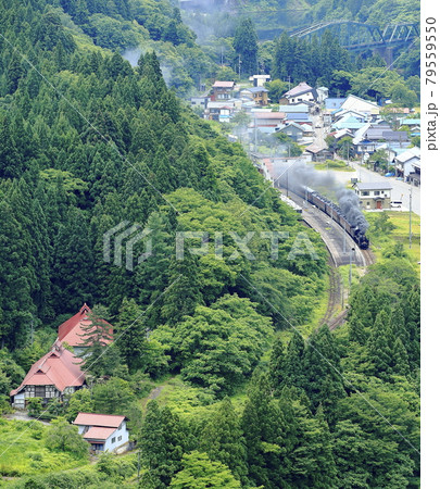 夏の磐越西線SL 79559550