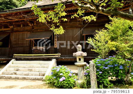 桑實寺本堂(桑峰薬師)【滋賀県近江八幡市安土町】 桑實寺本堂(桑峰薬師)【滋賀県近江八幡市安土町】 79559613