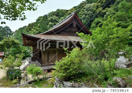 桑實寺本堂(桑峰薬師)【滋賀県近江八幡市安土町】 桑實寺本堂(桑峰薬師)【滋賀県近江八幡市安土町】 79559614