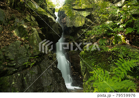 九龍の滝 【和歌山県日高川町】 九龍の滝 【和歌山県日高川町】 79559976