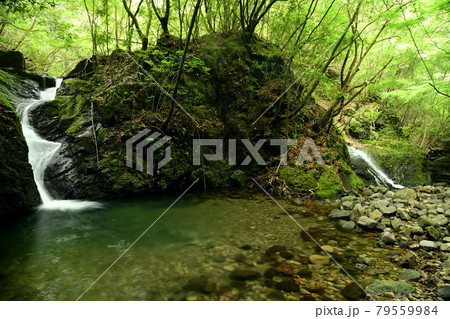 鎌滝と二段の滝　【和歌山県日高川町】 79559984