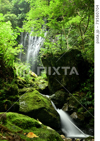 涼みの滝 【 和歌山県日高郡日高川町山野】 涼みの滝 【 和歌山県日高郡日高川町山野】 79560704