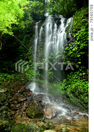 涼みの滝 【 和歌山県日高郡日高川町山野】 涼みの滝 【 和歌山県日高郡日高川町山野】 79560708