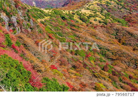 秋の九重山・扇ヶ鼻付近 79560717