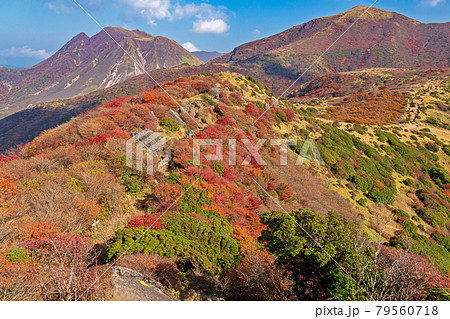 紅葉の九重山・扇ヶ鼻付近 紅葉の九重山・扇ヶ鼻付近 79560718