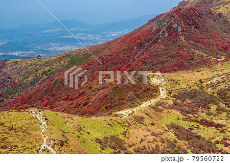 紅葉の九重山・扇ヶ鼻 79560722