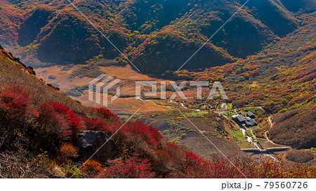 紅葉の九重山・坊がつる湿原 紅葉の九重山・坊がつる湿原 79560726