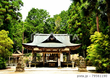 大笹原神社 【滋賀県野洲市】 大笹原神社 【滋賀県野洲市】 79561190