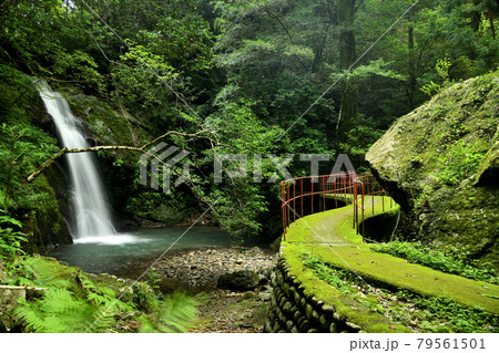 大滝川大滝(御滝) 【和歌山県日高郡日高川町】 大滝川大滝(御滝) 【和歌山県日高郡日高川町】 79561501