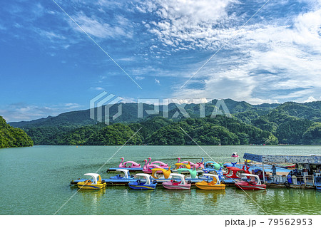 初夏の相模湖　スワンボート　神奈川県 79562953