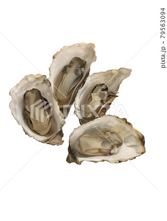 牡蠣 79563094
