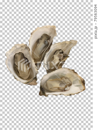 牡蠣 79563094