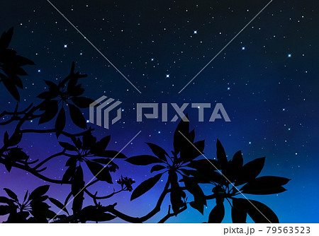 プルメリアの葉と星空 夏の夜空の風景のイラスト素材