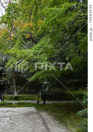 法然院 白砂壇 法然院 白砂壇 79563535