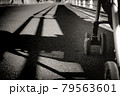 ベビーカーでの散歩のモノクロイメージ 79563601