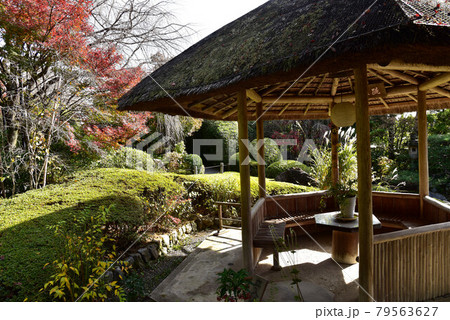 妙心寺塔頭 退蔵院の風景 妙心寺塔頭 退蔵院の風景 79563627
