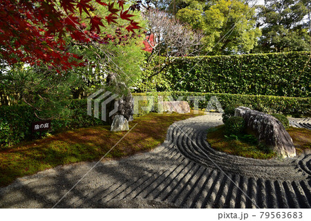 妙心寺塔頭　退蔵院の風景 79563683