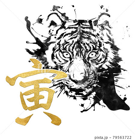 寅の年賀素材 79563722