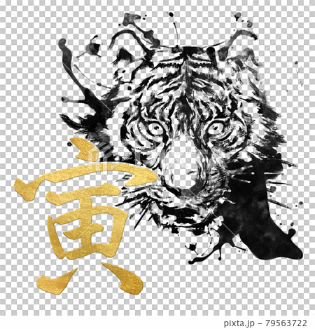 寅の年賀素材 79563722