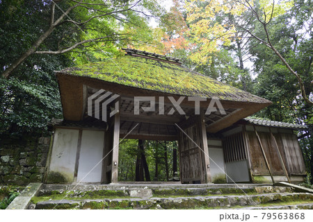 法然院 山門 法然院 山門 79563868