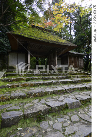 法然院　山門 79563870
