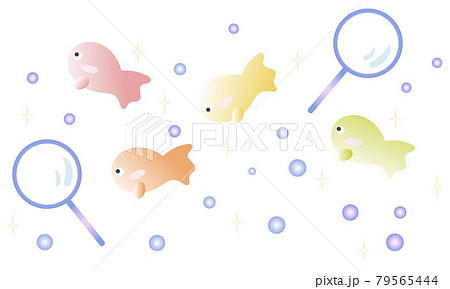 金魚・夏祭りイラストセット 金魚・夏祭りイラストセット 79565444
