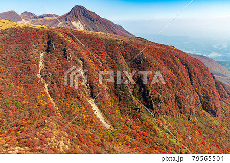 紅葉の九重山・涸谷と久住山 79565504