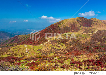 紅葉の九重山・扇ヶ鼻と星生山 紅葉の九重山・扇ヶ鼻と星生山 79565505