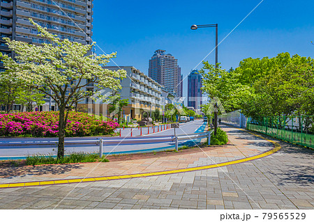 【東京の都市風景】お台場周辺の風景 【東京の都市風景】お台場周辺の風景 79565529