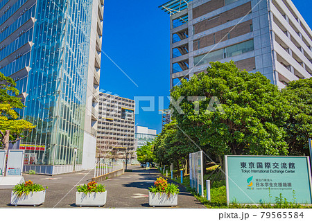 【東京の都市風景】東京国際交流館 79565584
