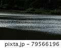 海岸 79566196