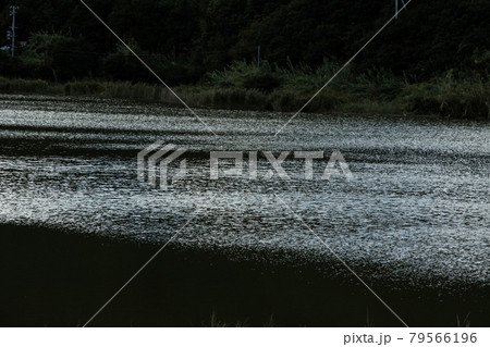 海岸 79566196
