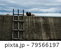 防波堤 79566197