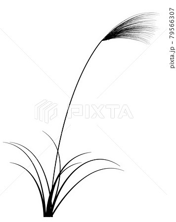 ススキ 秋 十五夜 アイコンのイラスト素材