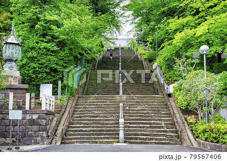 東京都 池上本門寺 96段の石段坂 東京都 池上本門寺 96段の石段坂 79567406