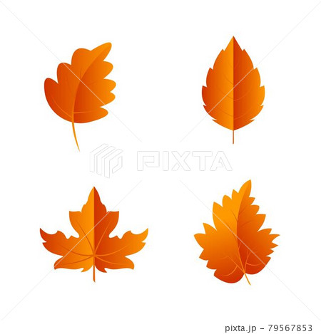 Autumn Element Vector icon design illustration 79567853