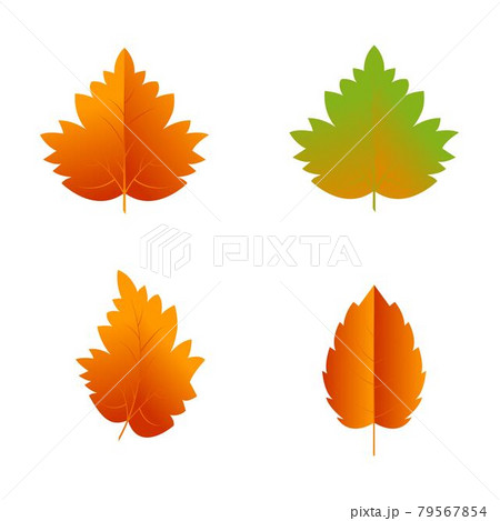 Autumn Element Vector icon design illustration 79567854