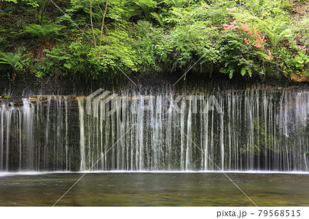 軽井沢白糸の滝 79568515