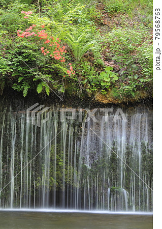 軽井沢白糸の滝 79568763