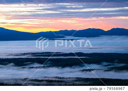 北海道斜里郡藻琴山から見た雲海 79568967