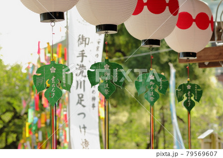 京都、北野天満宮境内に飾られた提灯と梶の葉の形をした御手洗祭の飾り	 79569607