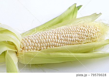 とうもろこし(クリスピーホワイト) とうもろこし(クリスピーホワイト) 79570028