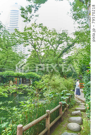 東京都港区愛宕神社男坂女坂 79570218
