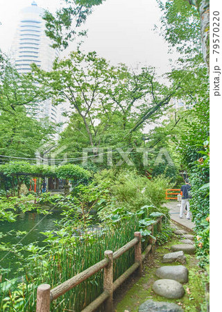 東京都港区愛宕神社男坂女坂 79570220