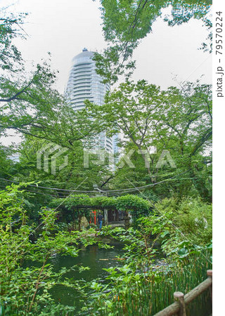 東京都港区愛宕神社男坂女坂 東京都港区愛宕神社男坂女坂 79570224