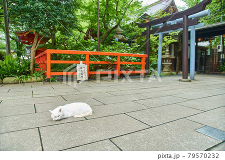 東京都港区愛宕神社男坂女坂 79570232