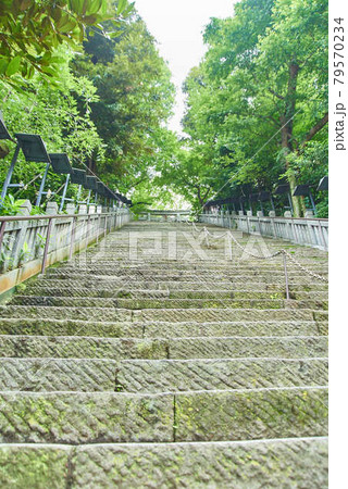 東京都港区愛宕神社男坂女坂 東京都港区愛宕神社男坂女坂 79570234