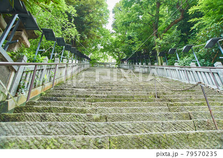 東京都港区愛宕神社男坂女坂 東京都港区愛宕神社男坂女坂 79570235
