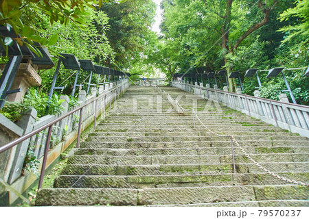 東京都港区愛宕神社男坂女坂 79570237