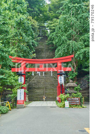 東京都港区愛宕神社男坂女坂 東京都港区愛宕神社男坂女坂 79570246